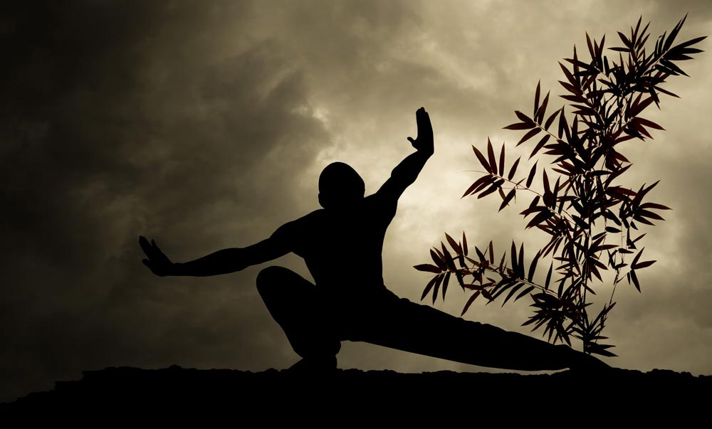 Pantaloni Arti Marziali - Futura Sport